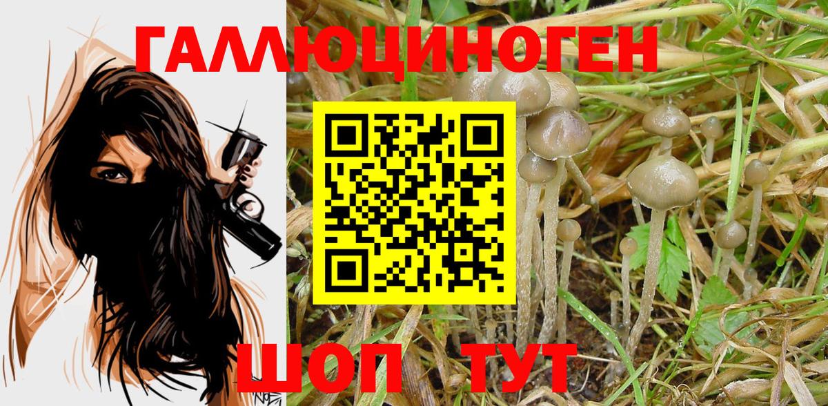 Нефтекамск  Псилоцибиновые грибы Psilocybe  Вход с VPN  Псилоцибиновые грибы ЛСД 