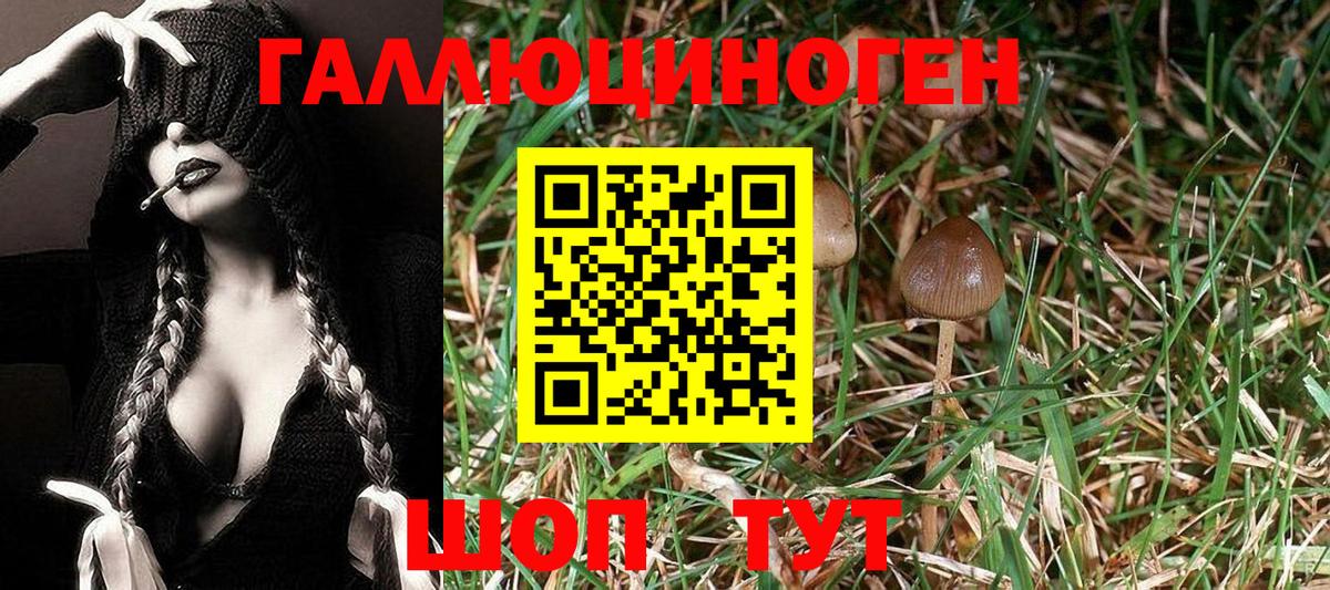 Псилоцибиновые грибы Magic Shrooms Нефтекамск
